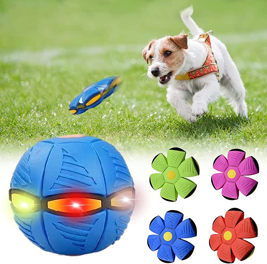 Pet Essentials