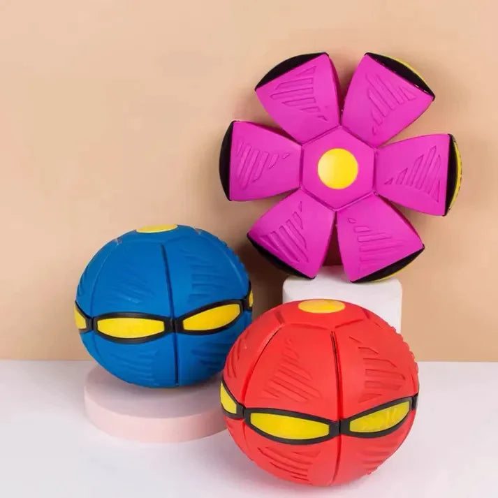 Dog Frisbee - Fun Playtime for You and Your Pet